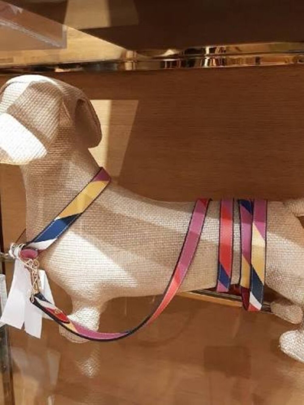Tory Burch DOG LEASH Multi Stripe